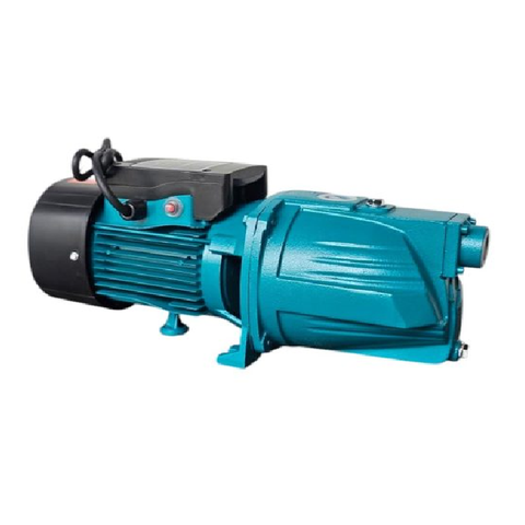 Máy Bơm Nước Con Lợn Rymaru 750W RY10M