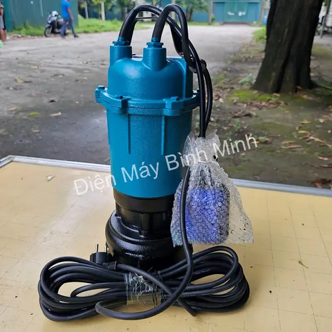 Máy Bơm Chìm Nước Thải Rymaru 750W RY-QD750 (có phao)