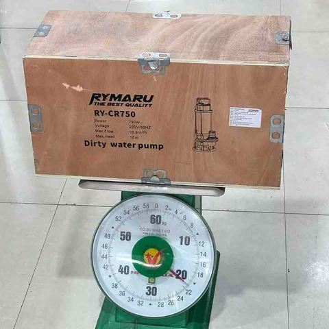 Máy Bơm Chìm Nước Thải Rymaru 1100W RY-CR1100