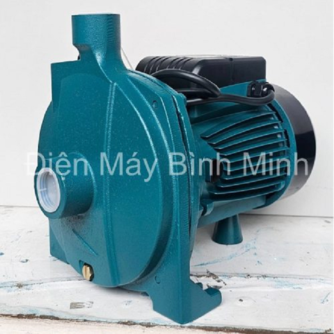 Máy Bơm Nước Ly Tâm Cánh Đĩa Rymaru 1100W RY170
