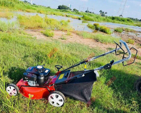 Máy Cắt Cỏ Đẩy Tay Honda Amita AM550