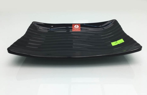 ĐĨA CHỮ NHẬT PHÍP ĐEN