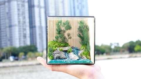 Tiểu Cảnh Bể Kính 