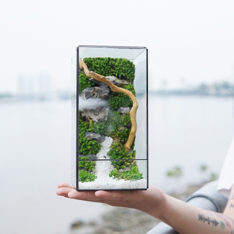 Tiểu Cảnh Bể Kính 