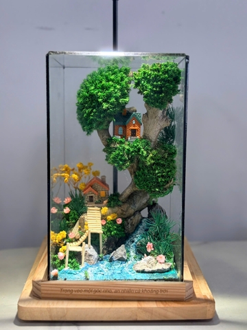 Tiểu Cảnh Bể Kính 