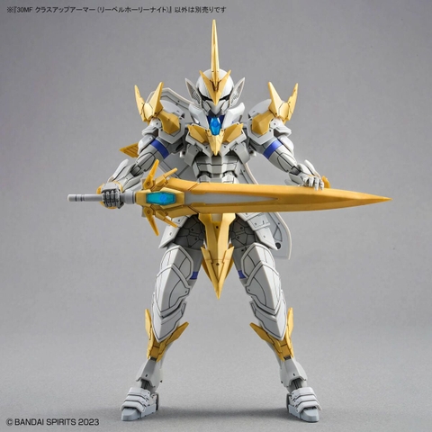 30MF LIBER HOLY KNIGHT