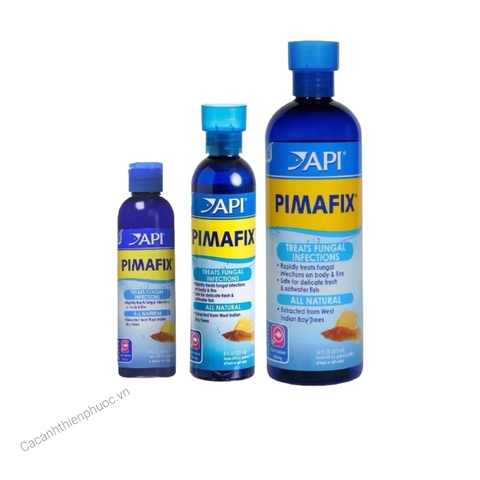 Api Pimafix- Dung Dịch Hỗ Trợ Các Vấn Đề Về Nấm Cho Cá Cảnh - Cá Cảnh Thiên Phước