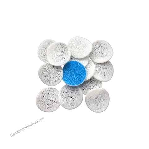 Hạt Lọc Biochip Vật Liệu Lọc Cho Hồ Cá Koi- Cá Cảnh Thiên Phước