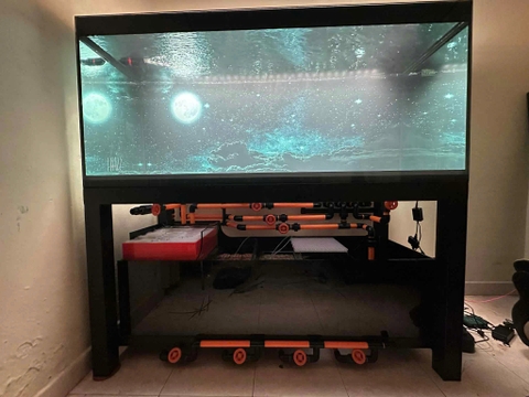 Hồ Công Nghệ Mới - Hồ Công Nghệ Ốp Tủ Gỗ - Cá Cảnh Thiên Phước