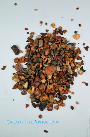 Sạn Suối Trang Trí Hồ Thủy Sinh- Cá Cảnh Thiên Phước