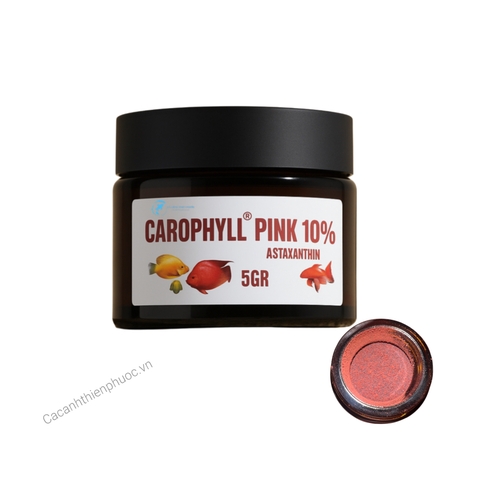 Carophyll Pink 10% Astaxanthin Kích Đỏ Cho Cá Cảnh Thuỷ Sinh- Cá Chép - Cá Cảnh Thiên Phước