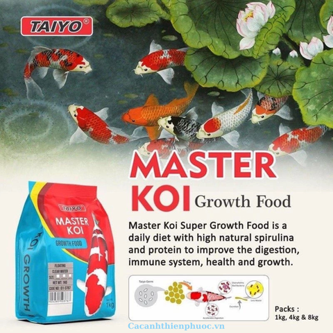 Master Koi Taiyo Thức Ăn Chuyên Dụng Cho Cá Koi- Thức Ăn Cá- Cá Cảnh Thiên Phước
