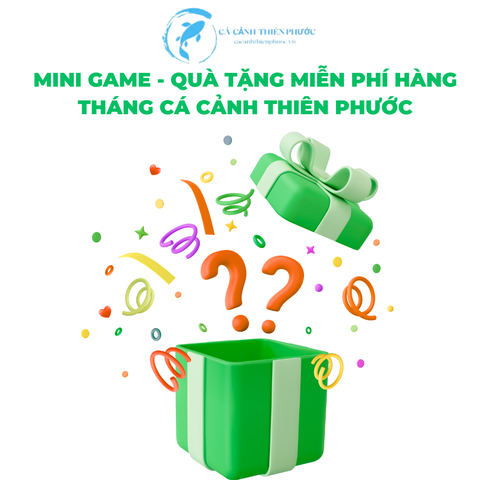 25/9/2025 Danh Sách Quà Tặng - Mini Game - Cá Cảnh Thiên Phước