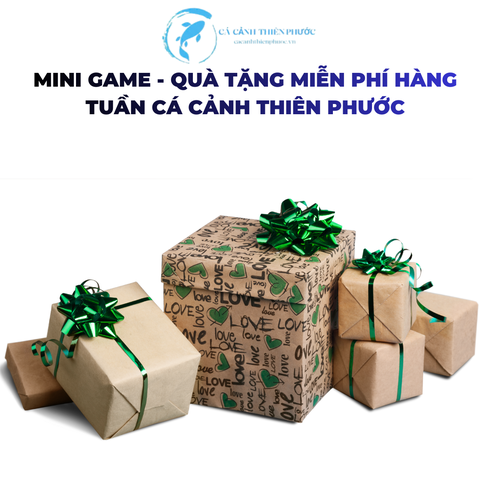 11/12/2025 Danh Sách Quà Tặng - Mini Game - Cá Cảnh Thiên Phước