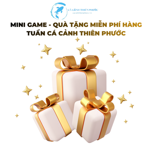 04/11/2025 Danh Sách Quà Tặng - Mini Game - Cá Cảnh Thiên Phước
