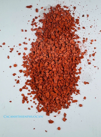 Sạn Gốm Ceramic- Cá Cảnh Thiên Phước