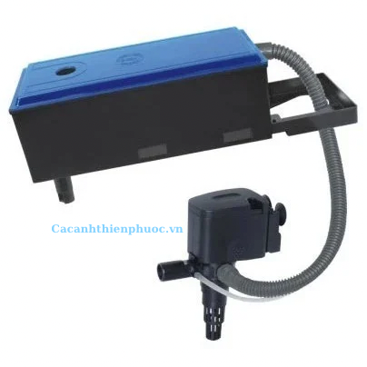 Kaokui Máy Bơm Lọc Nước Kèm Máng Cho Hồ Cá- Cá Cảnh Thiên Phước