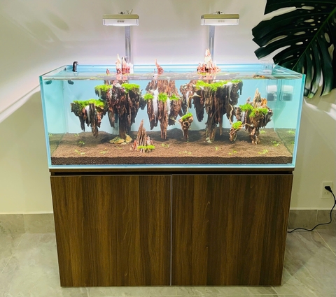 Hồ Thủy Sinh Setup Sẵn- Cá Cảnh Thiên Phước