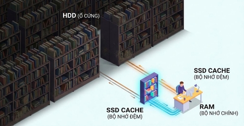 Bộ nhớ Cache cho NAS: Hiểu Rõ và Lựa Chọn Tối Ưu cho Thiết Bị NAS Của Bạn