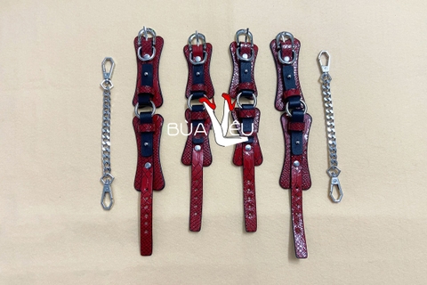 Bộ Bạo Dâm 10 Món Vân Da Màu Đỏ Nồng Cháy