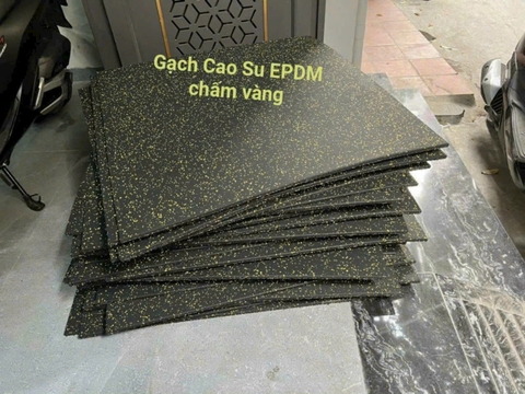 Tấm Cao Su trải sàn phòng Gym