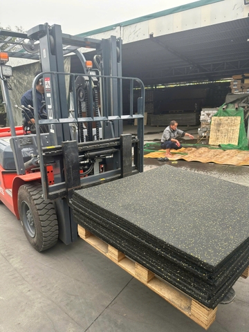 Tấm Cao Su trải sàn phòng Gym