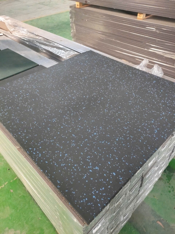 Tấm Cao Su trải sàn phòng Gym