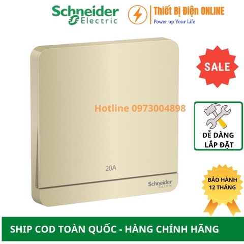Công tắc bình nóng lạnh 2 cực 20A Schneider E8331D20N_WG_G19 AvatarON màu vàng