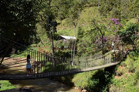 Những nơi nên đi ở Đà Lạt đẹp nhất