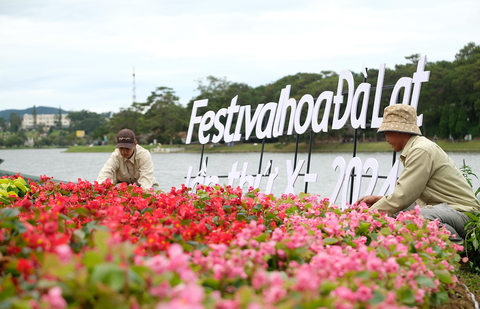 Khám phá 5 vườn hoa đẹp nhất Đà Lạt mùa hè