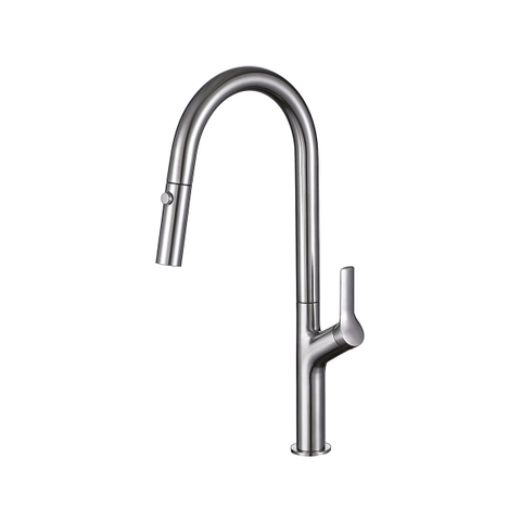Vòi Rửa Chén Bát Chrome Mờ Hafele Lux-P HT25-SH1F449