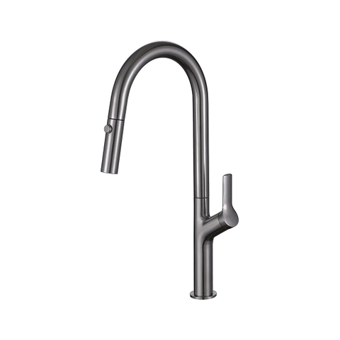 Vòi Rửa Chén Bát Titan Hafele Lux-P HT25-SH1F449
