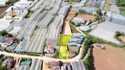 Bán Nhà Ở Nguyễn Hoàng, P7, Đà Lạt