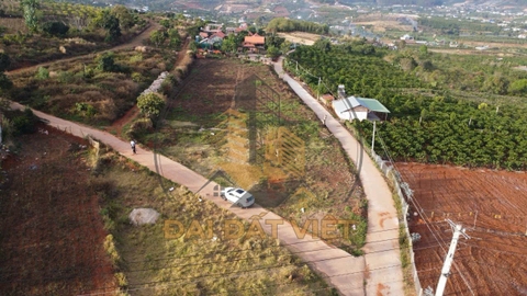 Bán Đất Ở View Trực Diện Nam Ban, Lâm Hà