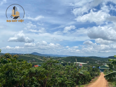 Chính Chủ Gửi Bán Đất Xã Nam Hà, Lâm Hà