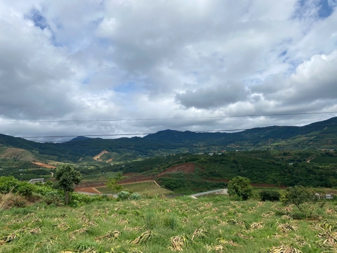 Đất ở nông thôn View trực diện Hồ Đông Thanh, Lâm Hà.