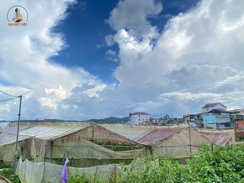 Bán Đất Nông Nghiệp Có Thể Lên Thổ Cư Thị Trấn Lạc Dương