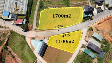 Bán Đất Ở Mặt Tiền Đường Điện Biên Phủ, Lạc Dương