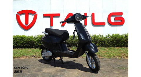 XE MÁY ĐIỆN TAILG R51