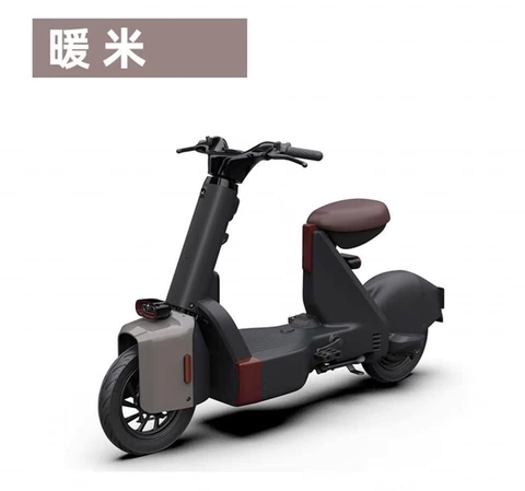 XE ĐẠP ĐIỆN TYPE 1