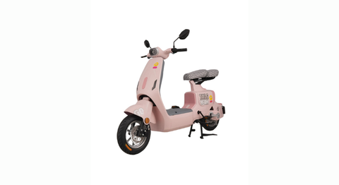 XE ĐẠP ĐIỆN TAILG GR55