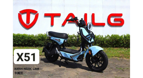 XE ĐIỆN TAILG X51