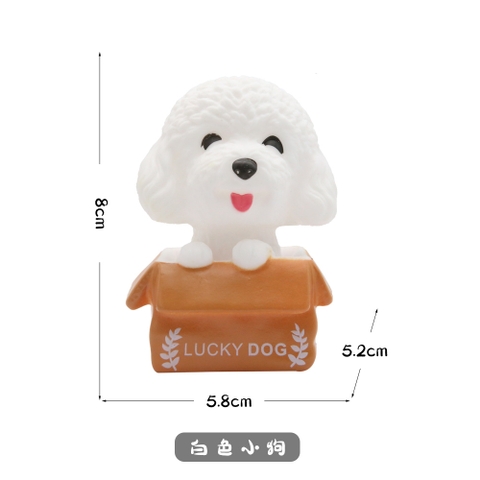 Chó Lucky/ Trắng