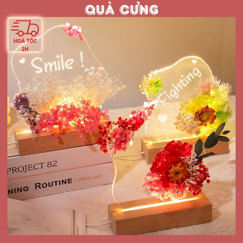 Quà tặng set đèn ngủ hoa khô vĩnh cửu tặng sinh nhật, tặng người yêu