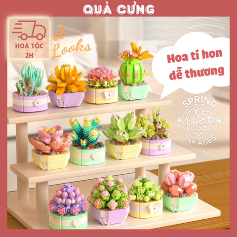 Quà tặng mô hình lắp ráp chậu hoa tí hon 1 tặng sinh nhật, tặng người yêu
