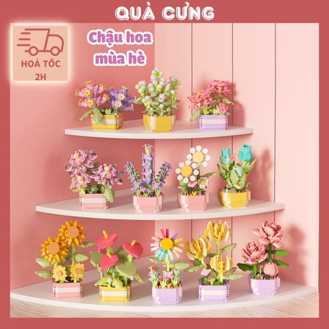 Quà tặng mô hình lắp ráp chậu hoa mùa hè tặng sinh nhật, tặng người yêu