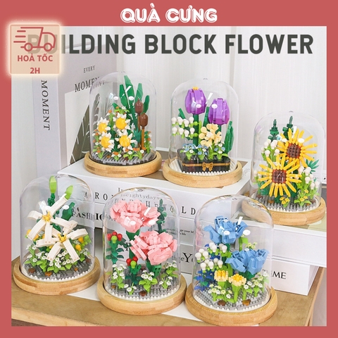 Quà tặng mô hình lắp ráp hoa hộp quà xanh kèm lồng chụp đế gỗ tặng người yêu, bạn bè