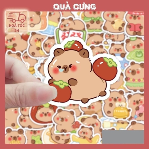 Quà tặng Sticker hình gấu Capybara dễ thương, xinh xắn để trang trí đồ vật
