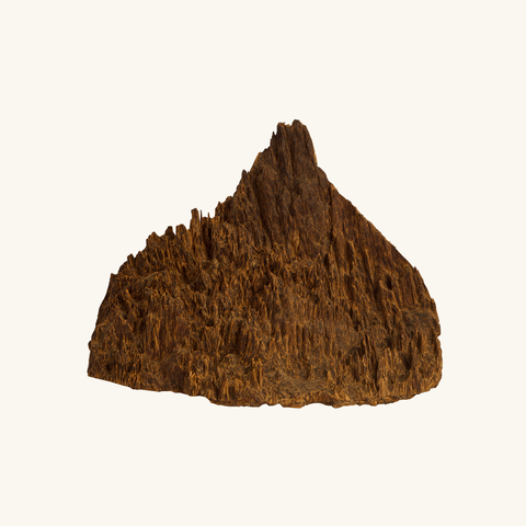 Miếng Trầm Hương Đồi Đế Nha Trang Viêt Nam 022