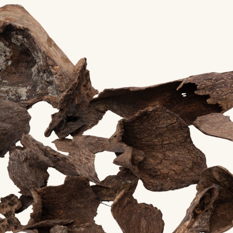 Miếng Trầm Hương Chóp Mũ Myamar 005